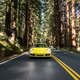 Illustration for article titled The 2018 Porsche 911 Carrera T Is So Pure It Hurts